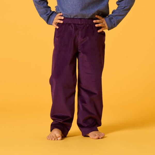 Pantaloni maurizio velluto viola i Versiliani